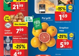 Catalog LIDL 04 Noiembrie 2024 - 10 Noiembrie 2024