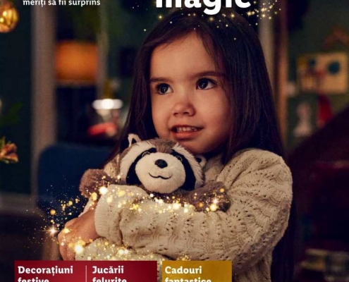 Catalog LIDL 04 Noiembrie 2024 - 15 Decembrie 2024 - Jucarii si Decoratiuni