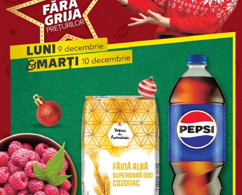 Catalog KAUFLAND 09 Decembrie 2024 - 10 Decembrie 2024