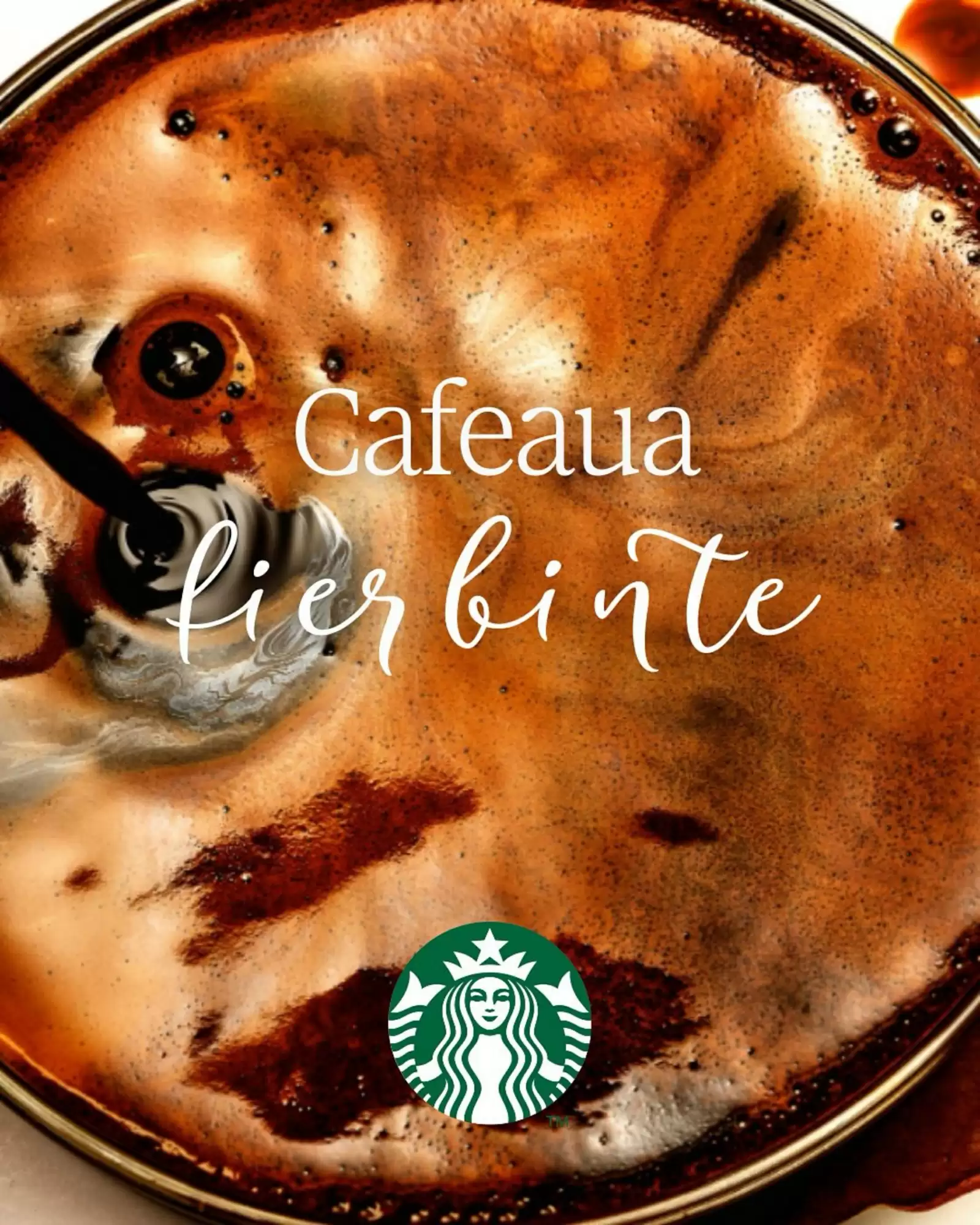 Starbucks Catalog 04.07.2025 - 23.07.2025