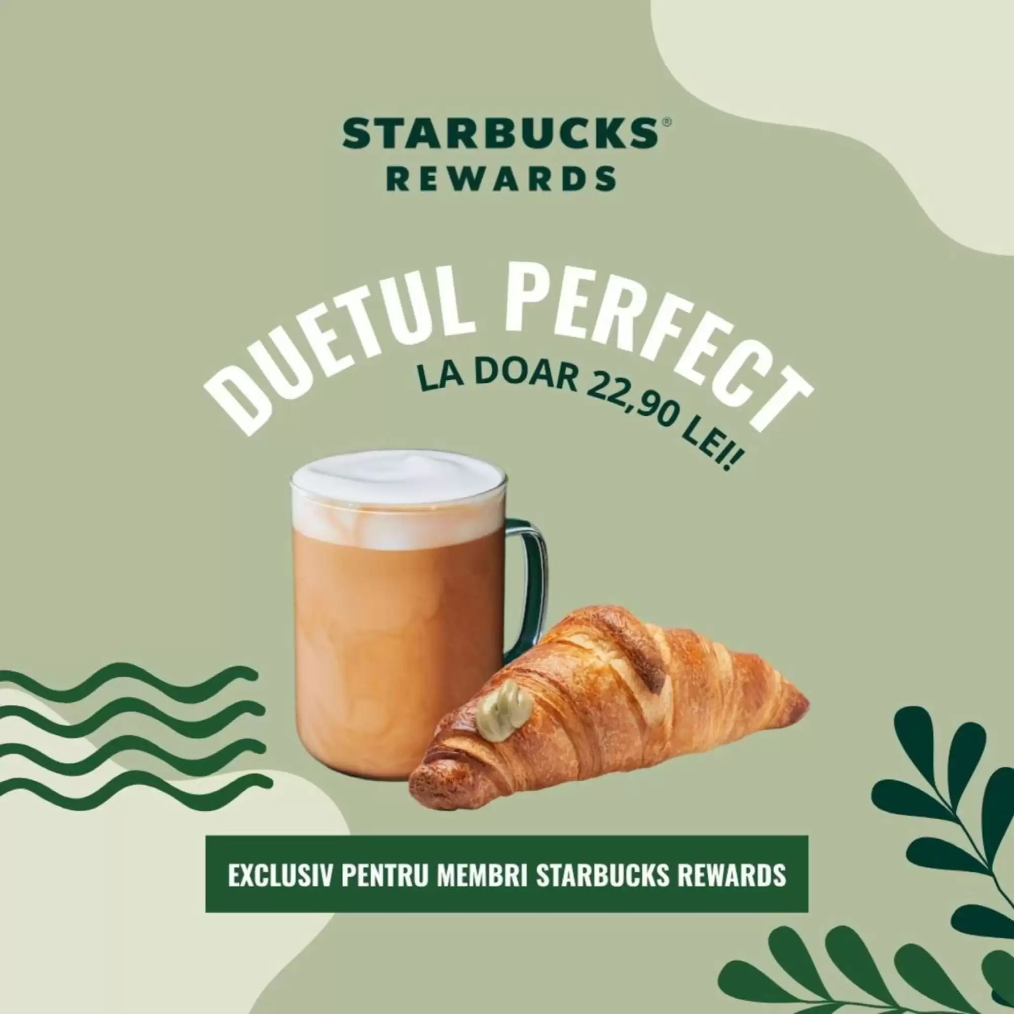 Starbucks Catalog 29.07.2025 - 11.08.2025