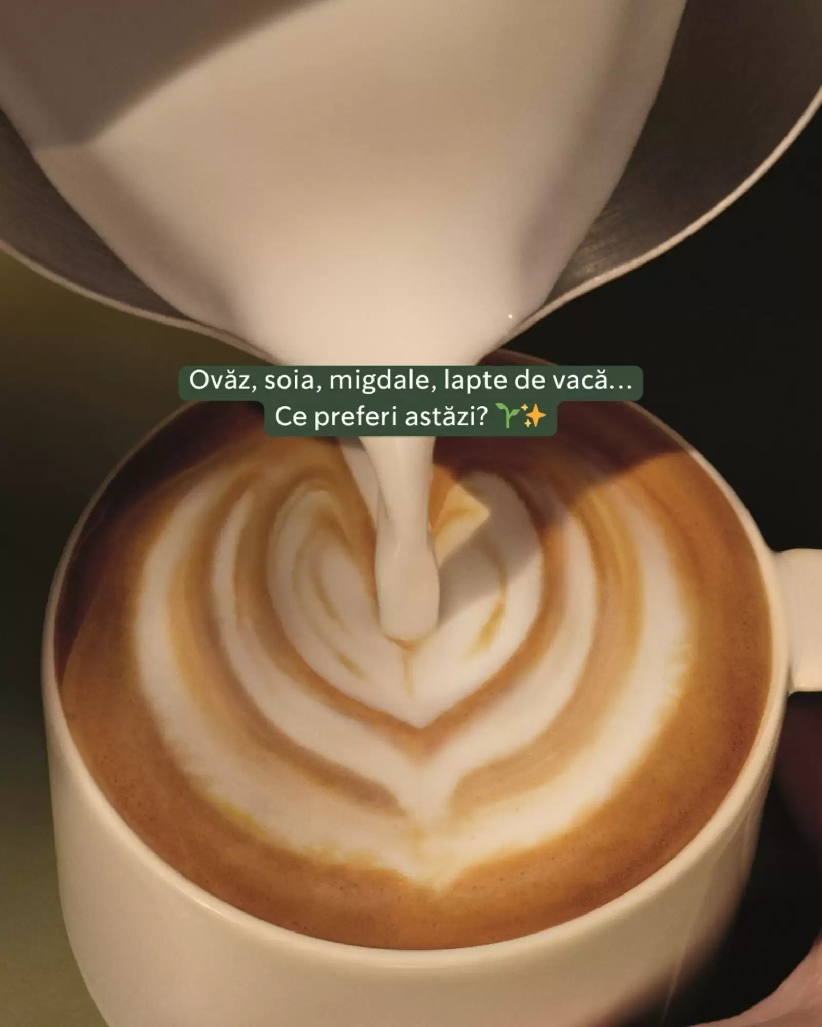 Starbucks Catalog 22.01.2026 - 28.01.2026