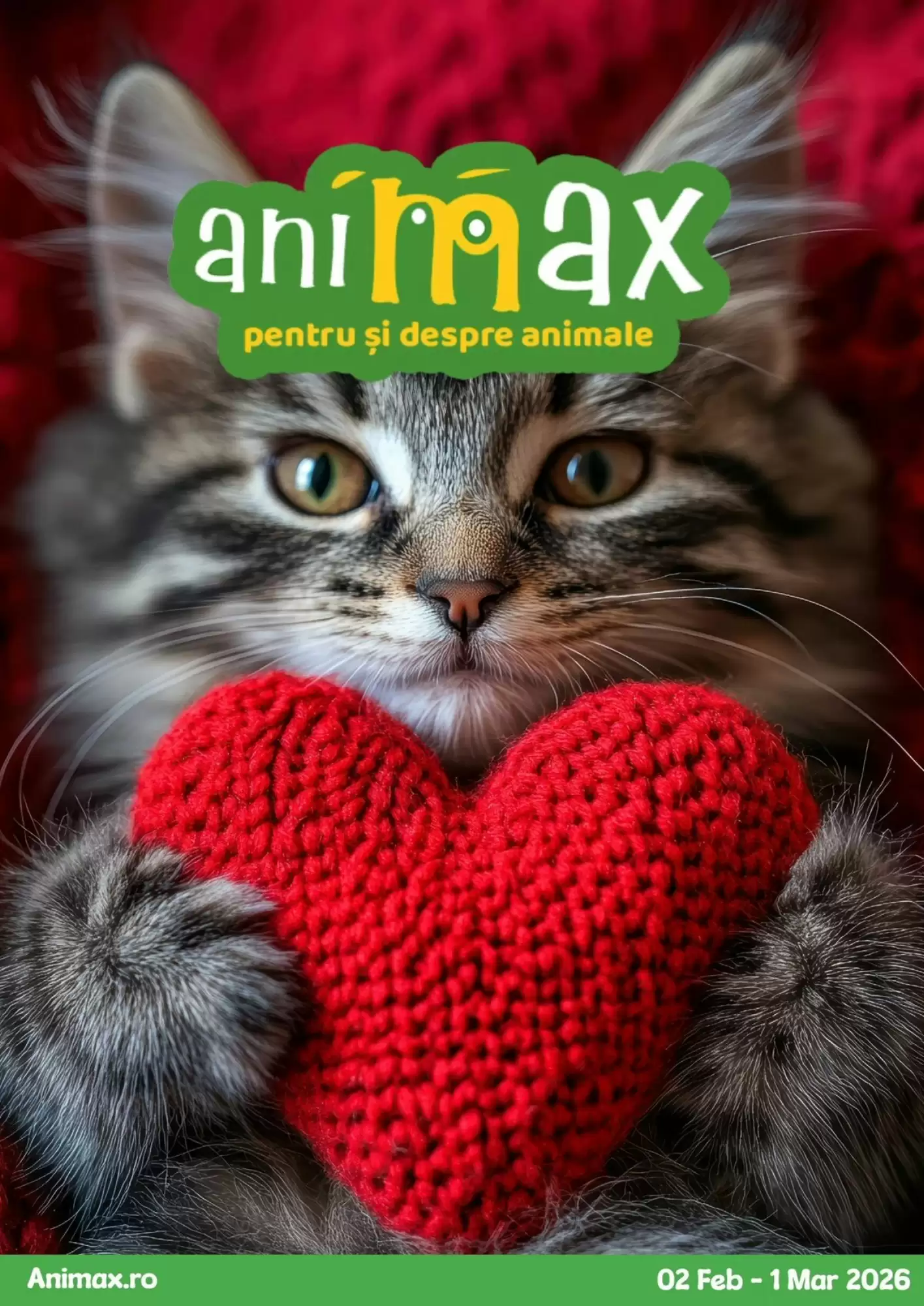 Animax Catalog 02.02.2026 - 01.03.2026