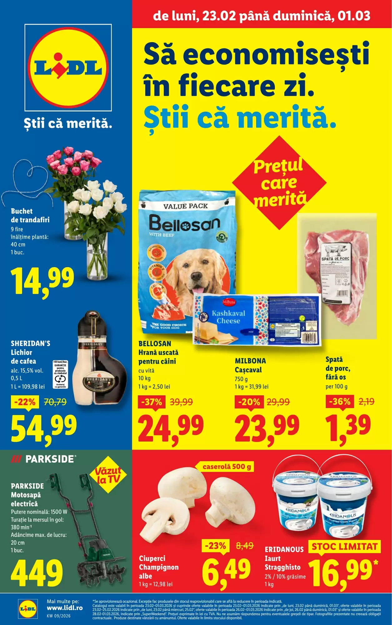 Lidl Catalog 23.02.2026 - 01.03.2026