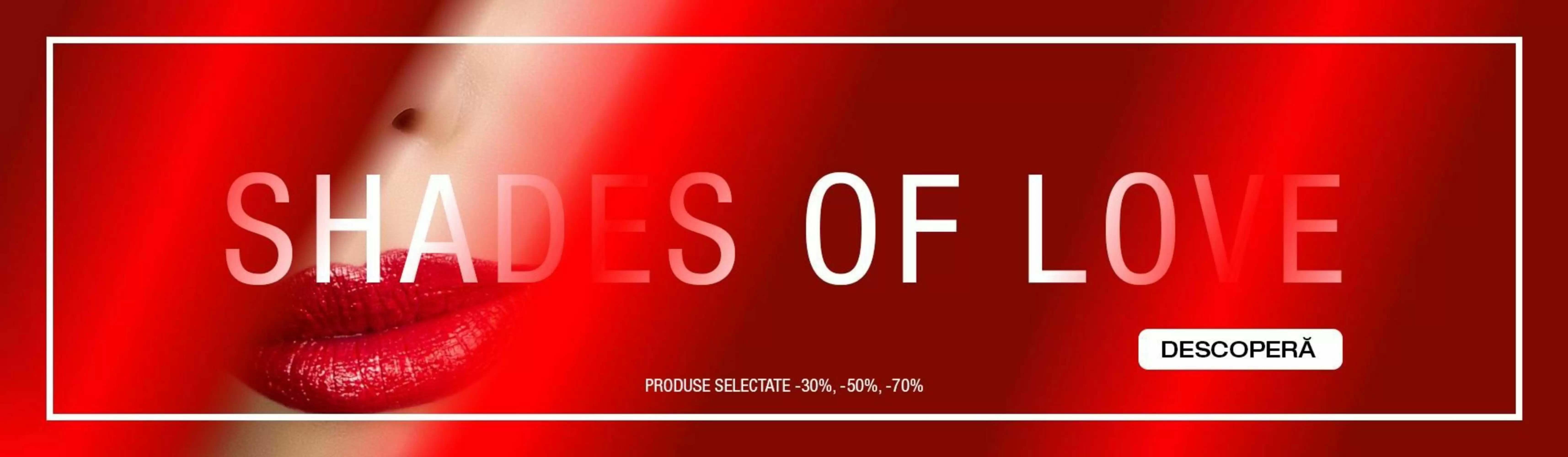 Melkior Catalog 10.02.2026 - 15.02.2026