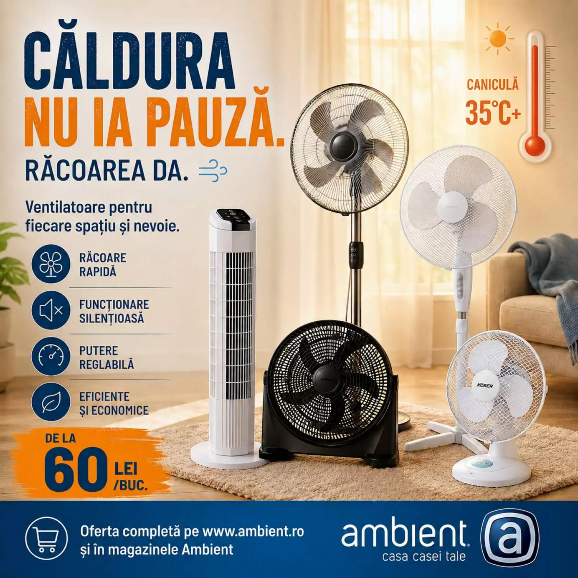 Ambient Catalog 02.07.2026 - 08.07.2026